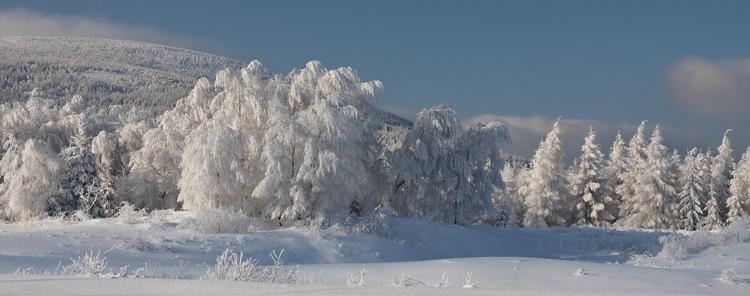 Góry Izerskie (fot. Jerzy Majdan)